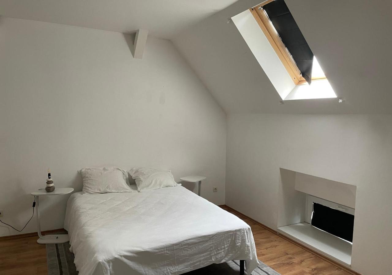 Le Wolf - 1 Chambre Dans Un T3 - 5Mn Tram Du Centre Ville - 15Mn Tram Gare Tgv Mulhouse - Wifi - Parking Экстерьер фото